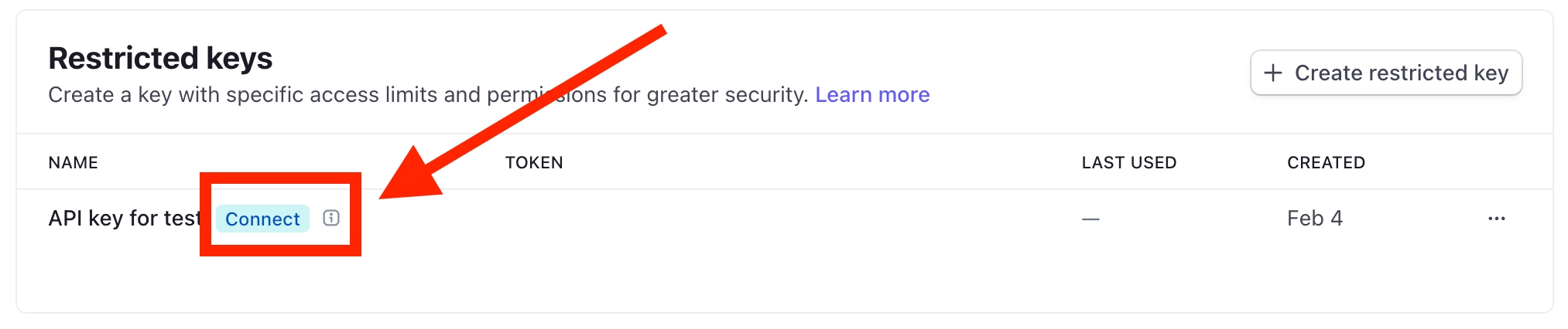 API Key Displaying Connect Badge